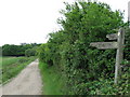 Finger post at junction of tracks in SO45 5TD