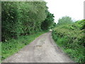 Track towards Veal's Farm in SO45 5TD