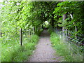 Path to Irwell Vale, Rossendale, Lancashire in Ewood Bridge
