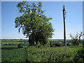 Phone mast, Crown Hill in CV31 1UU