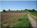 Sown field below Crown Hill in CV31 1UU