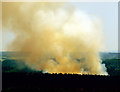 Cropton Forest Fire in YO18 8ES