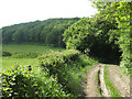Track from Ridge Hill to Lyndalls Wood in HR1 4RN