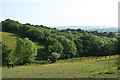 Holcombe Burnell: above Kingsford in EX6 7SB