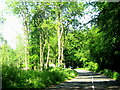 The road through Staple Common - Blackdowns in TA20 3LD
