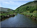 Afon Machno from the stepping stones in LL24 0UF
