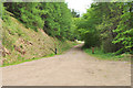 Forest road into Littlerig in FK14 7LD