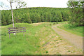 Road into Lendrick Forest near Glendevon in FK14 7LA
