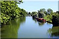 Looking downstream from Godstow Bridge (west) in OX2 8FL