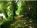 Anna Valley - Footpath in SP11 7PN
