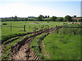Fields south of Valley Farm  in CV31 1UR