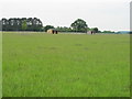 Paddocks and stables, by Oxfordshire Way in RG9 6HU