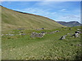 Old shielings, and the remains of a footbridge over the Allt Fin Glen in PH15 2PW