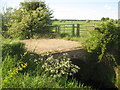 Bridleway bridge near Bilham Farm in TN25 7FU