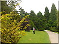 Waste Drive, Westonbirt Arboretum in GL8 8UR