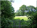 Kissing gate on footpath west of Whaddon in SP5 3AD