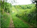 Bridle path near West Compton in DT2 9EE