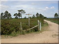 Canford Heath, bridleway junction in BH17 9EP