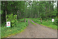 Track into Culloden Forest in IV2 5EG