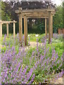 Allen Pavilion Garden, Guildford in GU2 4JA