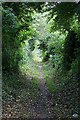 Salterton to Hurdcott footpath as it descends into Hurdcott in SP4 6DQ