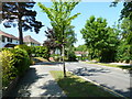 Approaching a bend in Lynwood Avenue in BR6 0DP