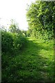 Essex Way in Great Tey in Great Tey