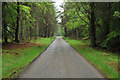 Road through Brightmony Wood in IV12 5JA