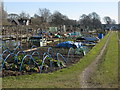 Priestnall Allotments, Heaton Mersey in SK4 3PU