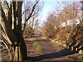 Footpath along the River Mersey in SK3 0SY