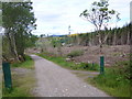 Clearfell in Blackmuir Wood in IV14 9BJ