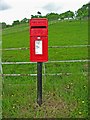 Rural postbox (Elizabeth II post mounted type) near A443 in WR15 8JH