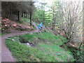 Footpath in Beinn Ghuilean forest in PA28 6RB
