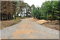 Newly cut track at the edge of the woodland at Knock, Rafford in IV36 2UH