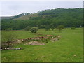 Wythop Beck in Wythop