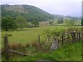 Gatepost and Ash in Wythop
