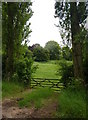 Gateway between poplars in CO10 5HA