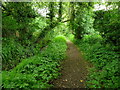 Chilbolton - Footpath in SP11 7JH
