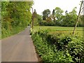 Road north of Plainsfield in TA5 1HL