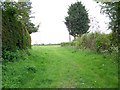 Footpath, Fivehead in TA3 6PJ