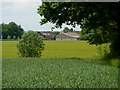 View towards The Flushing Farm in CO10 5PT