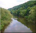 The Wye from Kerne Bridge in HR9 6HZ
