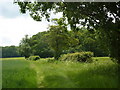 Footpath through the fields to two woods in CO10 5PT