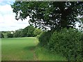 Field and hedge on edge of Marsh Green in EX5 2ES