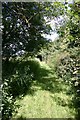 Footpath to Depden Church in Depden