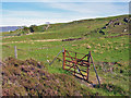 Gate in Galtrigill in IV55 8ZZ