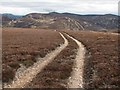 Track on Cairn nan Seileach in AB35 5YB