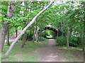 Footpath under Archer Road bridge, Penarth in CF64 1AL