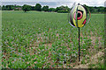 Bird scarer in bean field in RH13 8AH