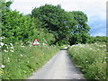 Looking north to Hurrell Lane railway bridge in YO18 7QX
